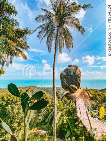 Koh Samui Overlap Stone in thailand, south east Asia Koh Samui Overlap Stone in thailand, south east Asia 78564324