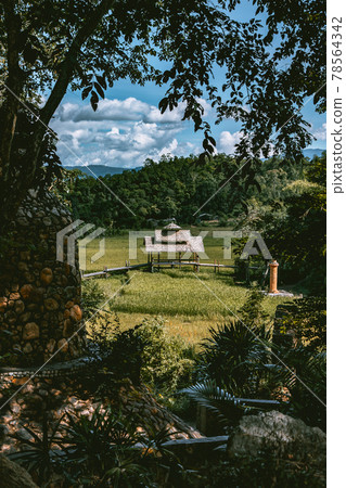 Bamboo Bridge in Pai, Mae Hong Son, Chiang Mai, thailand Bamboo Bridge in Pai, Mae Hong Son, Chiang Mai, thailand 78564342