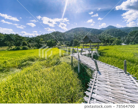 Bamboo Bridge in Pai, Mae Hong Son, Chiang Mai, thailand Bamboo Bridge in Pai, Mae Hong Son, Chiang Mai, thailand 78564700