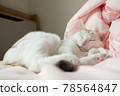 A white cat sleeping on a pink bed 78564847