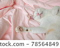 A white cat sleeping on a pink bed 78564849