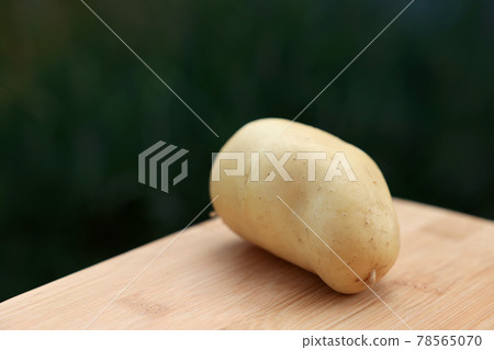 新土豆製作 78565070