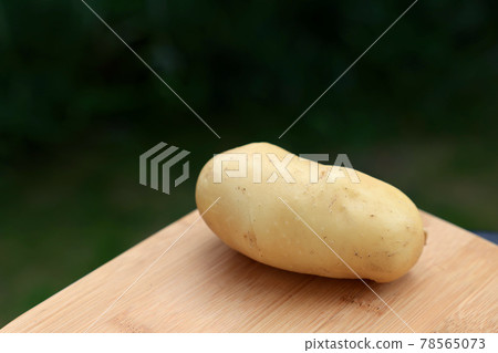 新土豆製作 78565073