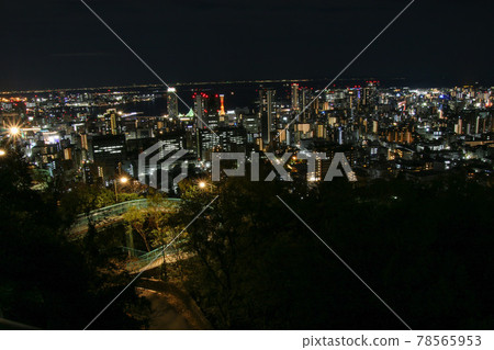 維納斯橋 78565953