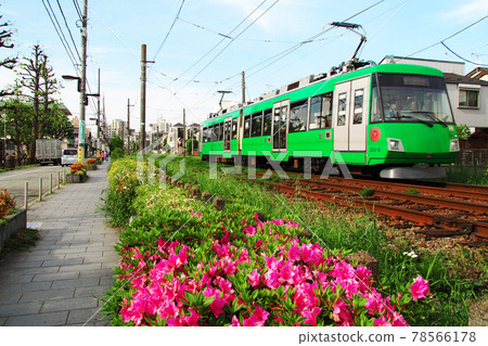 東急世田谷線 | 運行在下海道和松原之間的列車 東急世田谷線 | 運行在下海道和松原之間的列車 78566178