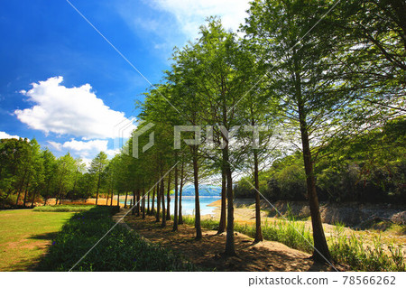 beautiful lakeside landscape beautiful lakeside landscape 78566262