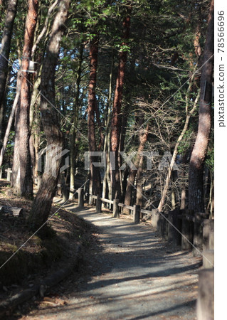 朝日森林公園長廊, 長廊 朝日森林公園長廊, 長廊 78566696