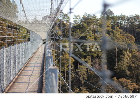 森林公園的吊橋 78566697