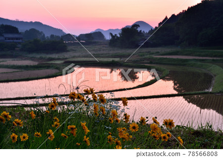 Uda Yu Shi's Rice Terraces Uda Yu Shi's Rice Terraces 78566808