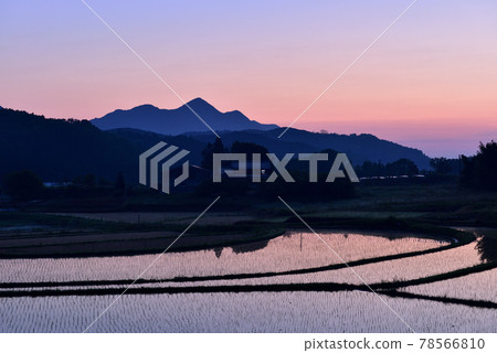 Uda Yu Shi's Rice Terraces 78566810