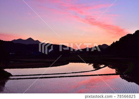 宇田玉石梯田 宇田玉石梯田 78566825