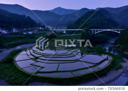 赤島的水稻梯田 赤島的水稻梯田 78566838