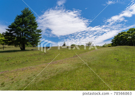 我們去山上吧 78566863