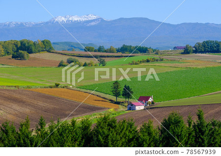 Red Roof House in Biei Hills 78567939