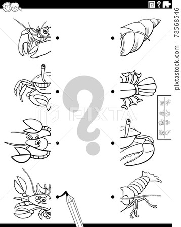 match halves of cartoon animals pictures coloring book page match halves of cartoon animals pictures coloring book page 78568546