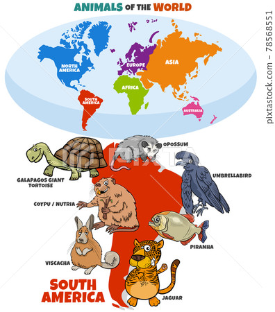 educational illustration of cartoon South American animals 78568551