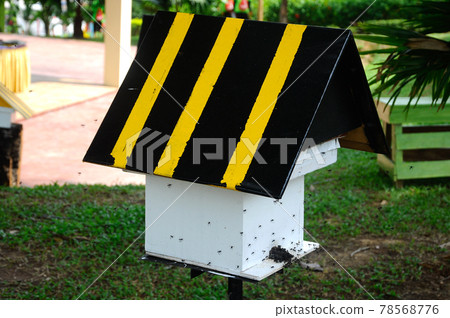 SERDANG, MALAYSIA -DECEMBER 7, 2016: Man made home or nest for sting less bee or local tongue call kelulut SERDANG, MALAYSIA -DECEMBER 7, 2016: Man made home or nest for sting less bee or local tongue call kelulut 78568776