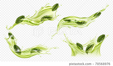 Vector realistic splash of green tea or matcha Vector realistic splash of green tea or matcha 78568976