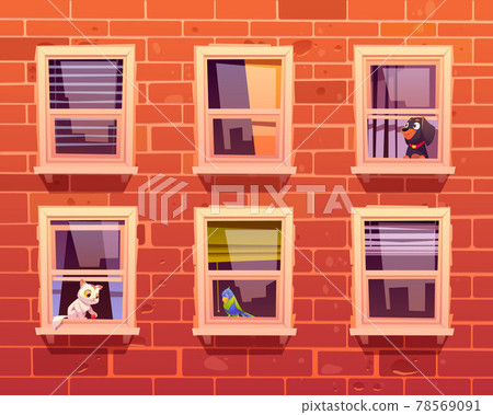 Pets in windows, cat, dog and parrot on windowsill Pets in windows, cat, dog and parrot on windowsill 78569091