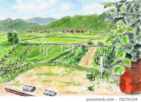 國家夏天 國家夏天 78570194