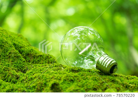 森林裡的燈泡 78570220