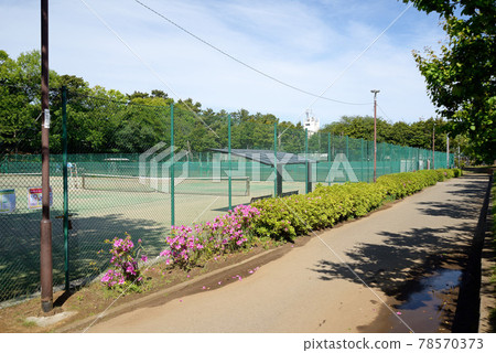 新綠、千葉縣船橋市、北荒野近鄰公園、網球場 新綠、千葉縣船橋市、北荒野近鄰公園、網球場 78570373
