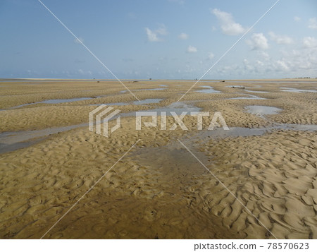 Betania Village: Wet sandy beach after the tide (Madagascar Morondava) Betania Village: Wet sandy beach after the tide (Madagascar Morondava) 78570623