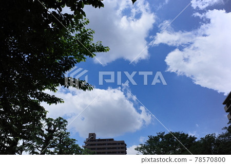 blue sky and white clouds blue sky and white clouds 78570800