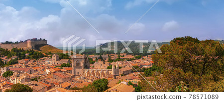 Wide panoramic view of old town in Avignon, France 78571089