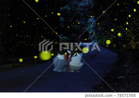 To see the fireflies To see the fireflies 78571508