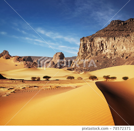 Sahara Desert, Algeria 78572371