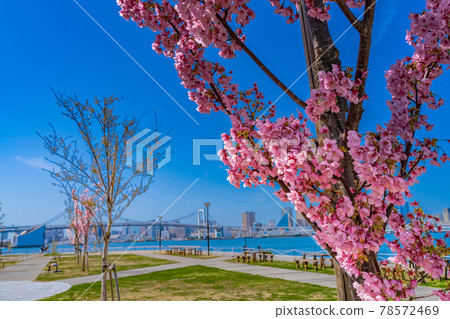 Tokyo cityscape Toyosu Gururi Park empty-handed BBQ open space 78572469