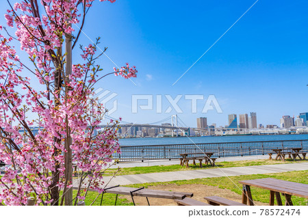 東京街景豐洲Gururi公園空手BBQ廣場 78572474