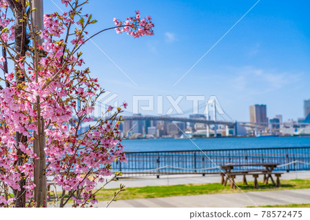 東京街景豐洲Gururi公園空手BBQ廣場 東京街景豐洲Gururi公園空手BBQ廣場 78572475