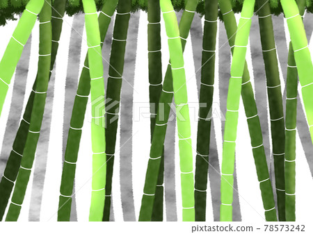 Simple bamboo grove 78573242