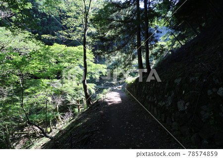 攀登神奈川縣丹澤市的小山 78574859