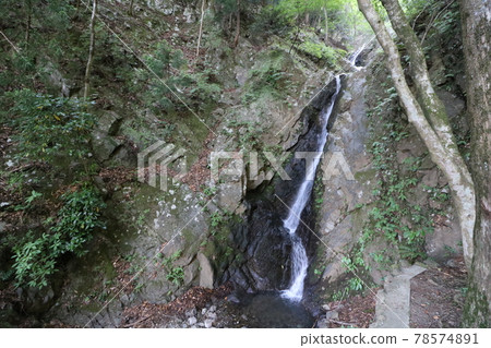 神奈川縣丹澤市小山的二重瀑布 78574891