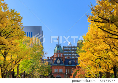 Former Hokkaido Government Office Building and Ginkgo Tree-lined Road 78574977