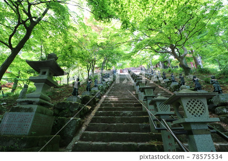 神奈川縣丹澤市阿夫利神社的恩納坂 78575534