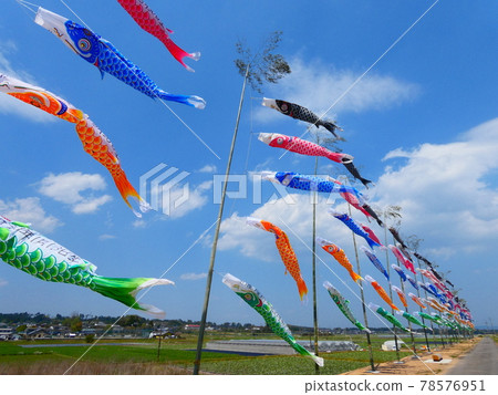 鯉魚幡在天上游 鯉魚幡在天上游 78576951