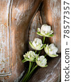 Buddha statue and lotus flowers 78577357