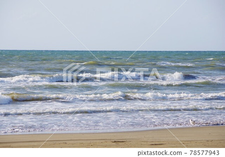 石川縣Senrihama Nagisa車道 石川縣Senrihama Nagisa車道 78577943