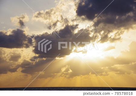 暮光之城 暮光之城 78578018