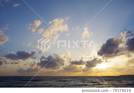 暮光之城 暮光之城 78578019