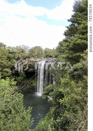 A waterfall surrounded by trees and a scooped basin [New Zealand] 78578034