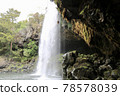 View from the back of the waterfall from a scooped basin surrounded by trees [New Zealand] 78578039