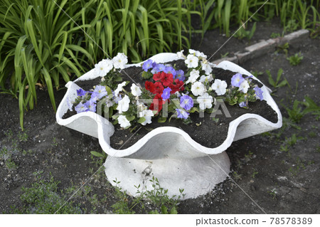 Concrete white flowerbed with buttercup flowers Concrete white flowerbed with buttercup flowers 78578389