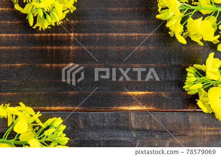 Rapes flower. Yellow rape flowers for healthy food oil on wooden background. Rapeseed plant, colza rapeseed for green energy. Yellow mustard plant. 78579069