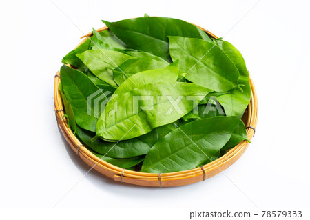 Baegu or Melinjo leaves in bamboo basket on white Baegu or Melinjo leaves in bamboo basket on white 78579333