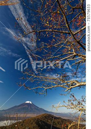 Mayumi fruit and Mt. Fuji in Yamanakako village and Mt. Hiraosan Mayumi fruit and Mt. Fuji in Yamanakako village and Mt. Hiraosan 78579633